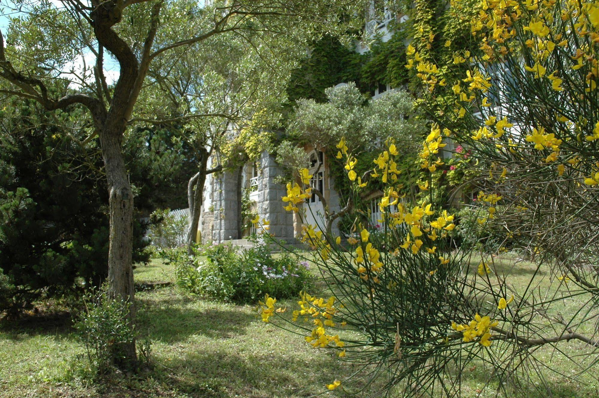 Hotel Des Deux Mers Saint-Pierre-Quiberon Εξωτερικό φωτογραφία